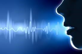 Voice Recognition System