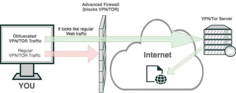 obfuscated servers
