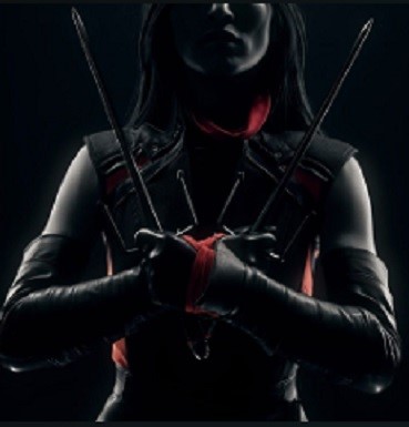 Elektra Vault